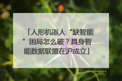 人形机器人“缺智能”困局怎么破？具身智能数据联盟在沪成立