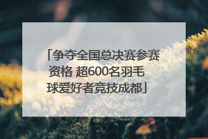 争夺全国总决赛参赛资格 超600名羽毛球爱好者竞技成都