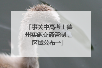 事关中高考！德州实施交通管制，区域公布→