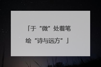 于“微”处着笔 绘“诗与远方”