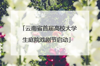 云南省首届高校大学生庭院戏剧节启动