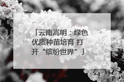 云南嵩明：绿色优质种苗培育 打开“缤纷世界”