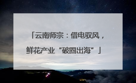 云南师宗：借电驭风，鲜花产业“破圈出海”