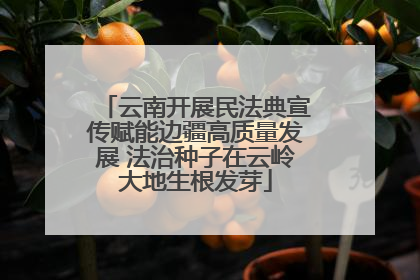 云南开展民法典宣传赋能边疆高质量发展 法治种子在云岭大地生根发芽