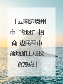 云南边境州市“组团”招商 边民互市落地加工成投资热点