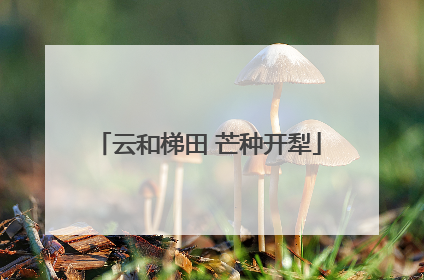 云和梯田 芒种开犁