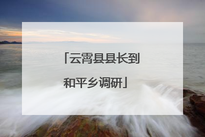 云霄县县长到和平乡调研