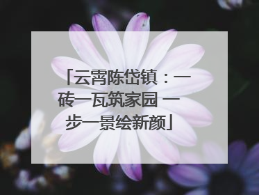 云霄陈岱镇：一砖一瓦筑家园 一步一景绘新颜