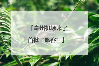 亳州机场来了首批“旅客”