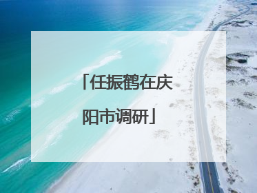 任振鹤在庆阳市调研