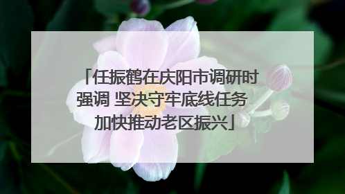 任振鹤在庆阳市调研时强调 坚决守牢底线任务 加快推动老区振兴