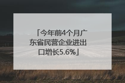今年前4个月广东省民营企业进出口增长5.6%