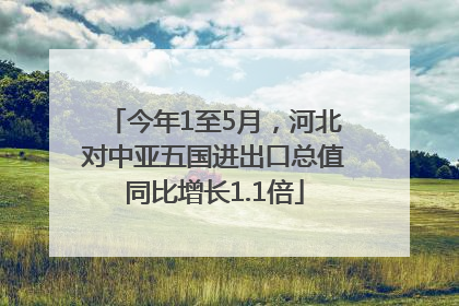 今年1至5月，河北对中亚五国进出口总值同比增长1.1倍