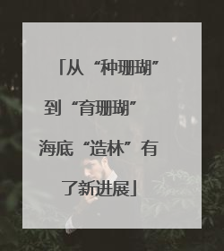 从“种珊瑚”到“育珊瑚” 海底“造林”有了新进展
