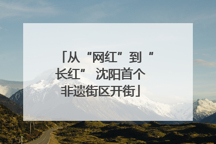 从“网红”到“长红” 沈阳首个非遗街区开街