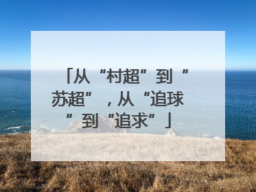 从“村超”到“苏超”，从“追球”到“追求”
