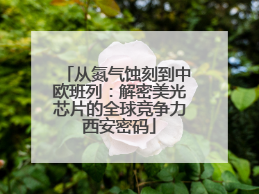 从氮气蚀刻到中欧班列：解密美光芯片的全球竞争力西安密码