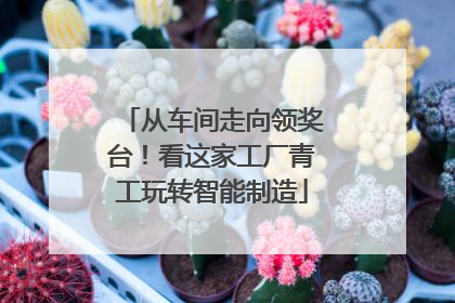 从车间走向领奖台！看这家工厂青工玩转智能制造