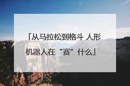 从马拉松到格斗 人形机器人在“赛”什么