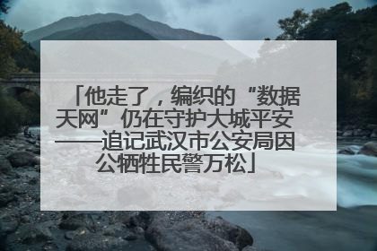他走了，编织的“数据天网”仍在守护大城平安——追记武汉市公安局因公牺牲民警万松