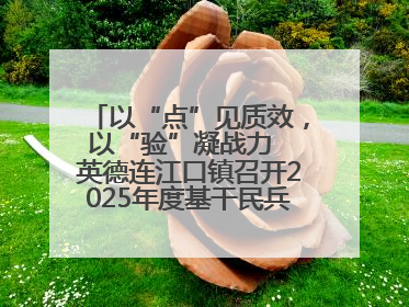 以“点”见质效，以“验”凝战力  英德连江口镇召开2025年度基干民兵点验大会