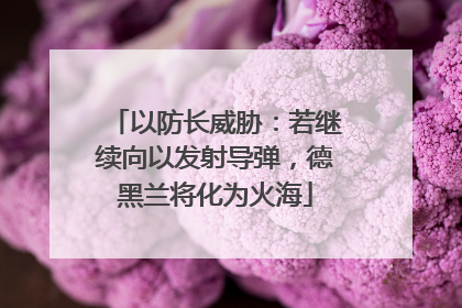 以防长威胁：若继续向以发射导弹，德黑兰将化为火海