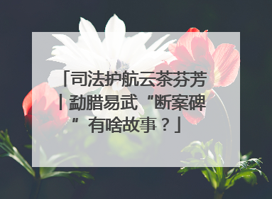 司法护航云茶芬芳丨勐腊易武“断案碑”有啥故事？