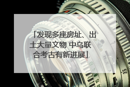 发现多座房址、出土大量文物 中乌联合考古有新进展