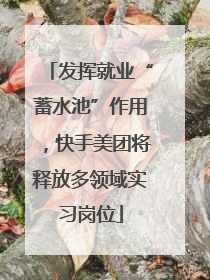 发挥就业“蓄水池”作用，快手美团将释放多领域实习岗位