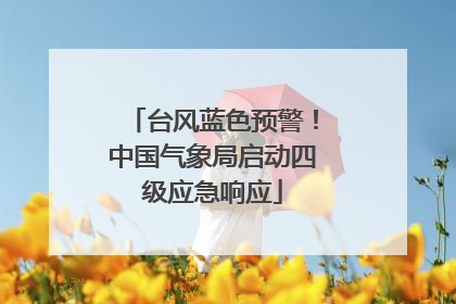 台风蓝色预警！中国气象局启动四级应急响应