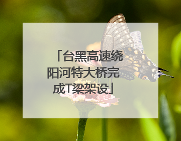 台黑高速绕阳河特大桥完成T梁架设