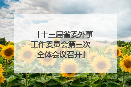 十三届省委外事工作委员会第三次全体会议召开