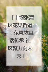 十堰张湾区花果街道：东风故里话传承 社区聚力向未来