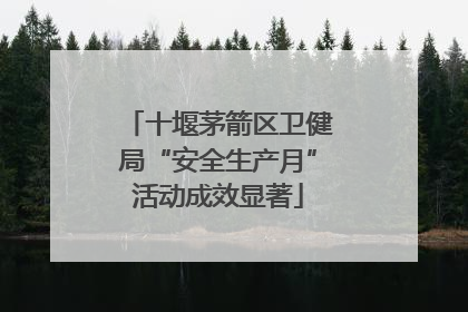 十堰茅箭区卫健局“安全生产月”活动成效显著