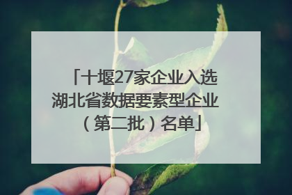 十堰27家企业入选湖北省数据要素型企业（第二批）名单