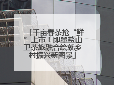千亩春茶抢“鲜”上市！即墨鳌山卫茶旅融合绘就乡村振兴新图景
