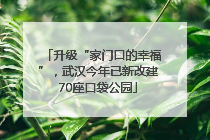 升级“家门口的幸福”，武汉今年已新改建70座口袋公园