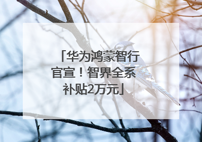 华为鸿蒙智行官宣！智界全系补贴2万元