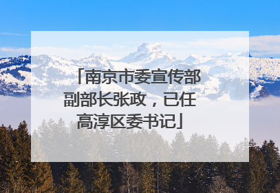 南京市委宣传部副部长张政，已任高淳区委书记