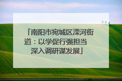 南阳市宛城区溧河街道：以学促行强担当 深入调研谋发展