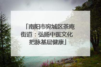 南阳市宛城区茶庵街道：弘扬中医文化 把脉基层健康