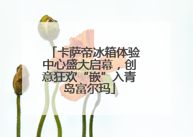 卡萨帝冰箱体验中心盛大启幕，创意狂欢“嵌”入青岛富尔玛