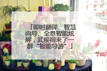 即时翻译、智慧向导、全息智能炫屏，武侯祠来了一群“智能导游”