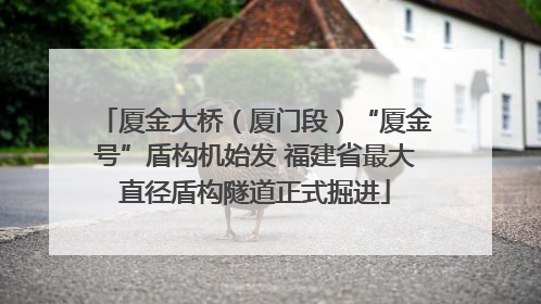 厦金大桥（厦门段）“厦金号”盾构机始发 福建省最大直径盾构隧道正式掘进