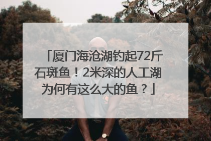 厦门海沧湖钓起72斤石斑鱼！2米深的人工湖为何有这么大的鱼？