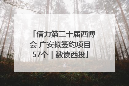 借力第二十届西博会 广安拟签约项目57个｜数读西投