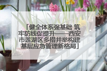 健全体系强基础 筑牢防线促提升——西安市莲湖区多措并举构建基层应急管理新格局
