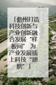 儋州打造科技创新与产业创新融合发展“样板间” 为产业发展插上科技“翅膀”