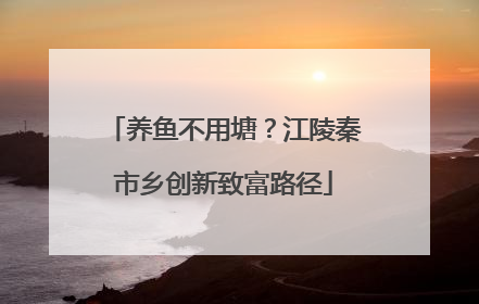 养鱼不用塘？江陵秦市乡创新致富路径