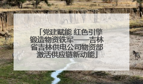 党建赋能 红色引擎锻造物资铁军——吉林省吉林供电公司物资部激活供应链新动能